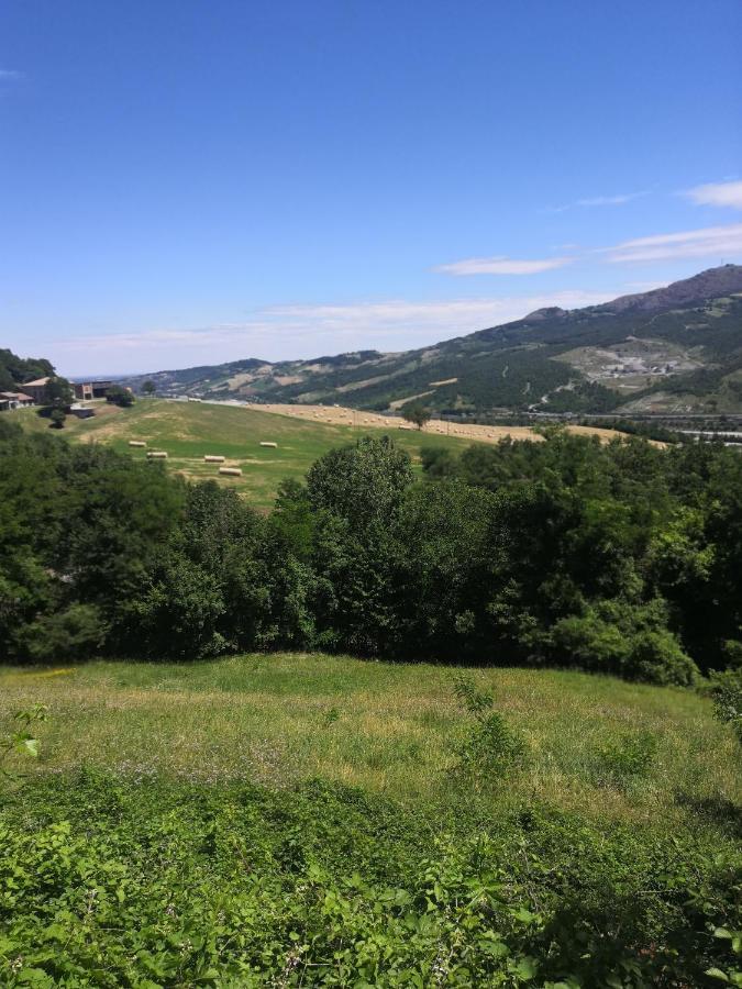 B&B Demetra Solignano エクステリア 写真